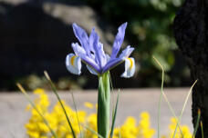 185598_2.jpg  : 45 KB