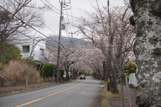 185601_1.jpg  : 97 KB