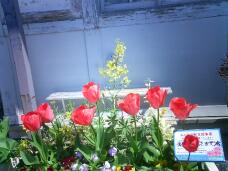 185605_1.jpg  : 126 KB