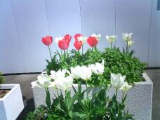 185605_2.jpg  : 127 KB