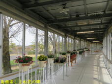 185612_3.jpg  : 62 KB