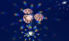 185615_2.jpg  : 33 KB