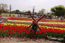 185619_1.jpg  : 160 KB