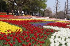 185619_2.jpg  : 169 KB