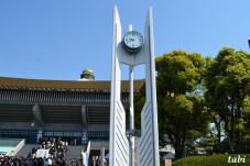 185620_9.jpg  : 60 KB