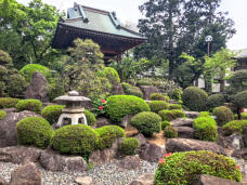 185629_3.jpg  : 155 KB