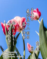 185631_1.jpg  : 197 KB