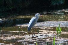 185633_1.jpg  : 89 KB