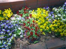 185636_1.jpg  : 131 KB