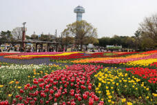 185645_1.jpg  : 136 KB