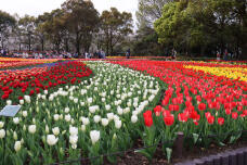 185645_2.jpg  : 146 KB