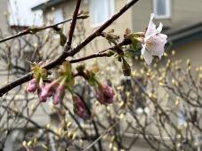 185649_1.jpg  : 99 KB