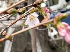 185649_2.jpg  : 95 KB