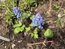 185649_3.jpg  : 99 KB