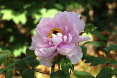 185651_1.jpg  : 106 KB