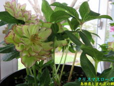 185654_3.jpg  : 58 KB