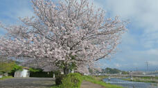 185659_2.jpg  : 281 KB