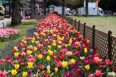 185662_1.jpg  : 159 KB