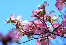 185671_3.jpg  : 77 KB