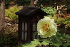 185677_3.jpg  : 109 KB