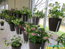 185680_1.jpg  : 78 KB