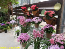 185680_2.jpg  : 82 KB