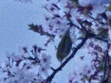 185689_1.jpg  : 37 KB