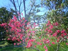 185692_1.jpg  : 122 KB