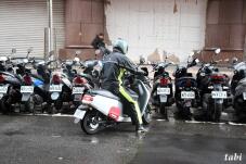 185697_8.jpg  : 85 KB