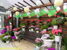 185699_1.jpg  : 83 KB