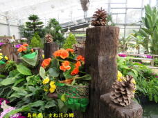 185699_3.jpg  : 82 KB