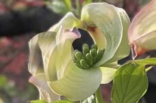 185701_1.jpg  : 42 KB