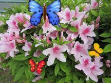 185701_3.jpg  : 99 KB