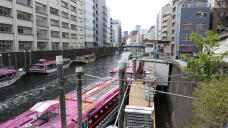 185703_2.jpg  : 262 KB