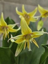 185707_1.jpg  : 26 KB