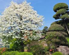 185712_1.jpg  : 126 KB