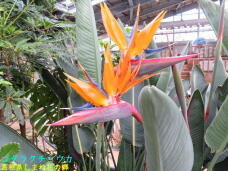 185713_1.jpg  : 81 KB