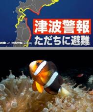 185730_3.jpg  : 90 KB