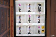 185738_9.jpg  : 58 KB