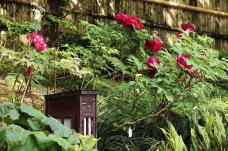 185750_1.jpg  : 169 KB