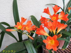 185755_1.jpg  : 56 KB