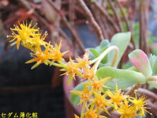 185755_2.jpg  : 48 KB