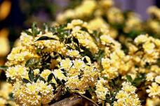 185758_1.jpg  : 56 KB