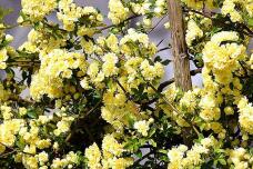 185758_3.jpg  : 90 KB