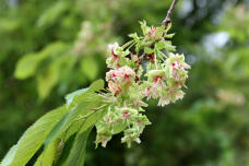 185764_2.jpg  : 66 KB