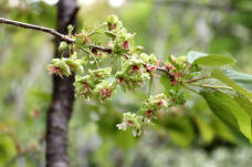 185764_3.jpg  : 85 KB