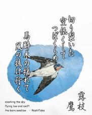 185765_1.jpg  : 135 KB