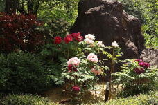 185770_1.jpg  : 234 KB