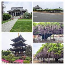 185773_1.jpg  : 130 KB