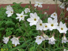 185776_1.jpg  : 54 KB